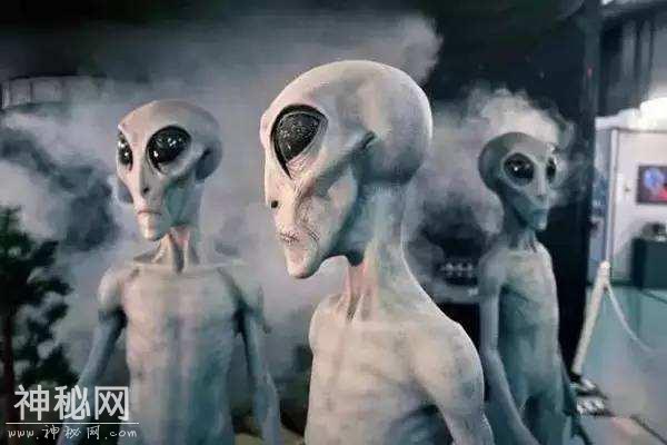 盘点几种争议较大的未知生物，真假难辨赚钱是真-3.jpg