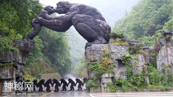 [知乎] 在神农架砍死野人，是否属于违法行为？-2.jpg