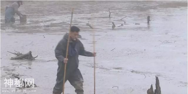 野生动物可不能随便吃，三河一村民一时贪嘴，捕鸟违法被查处-8.jpg