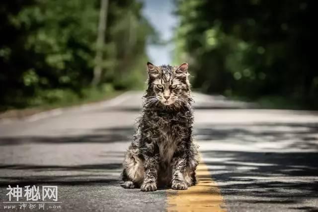 2019年恐怖片合集，让恐怖来的更加猛烈些吧！-28.jpg