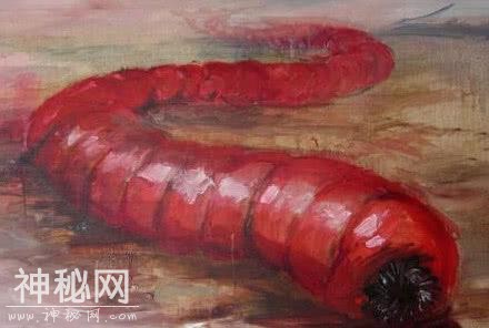 5种隐匿的未知生物，第3种曾于一年中被人发现上千次-5.jpg
