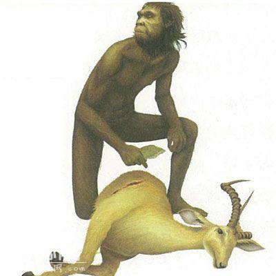 中国野人之谜-科学家探秘最多的神农架野人-2.jpg