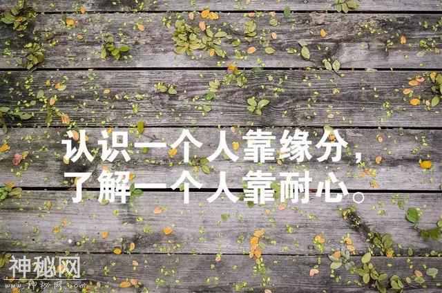 很走心的一句话人生感悟经典语句-16.jpg