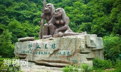 神农架目击野人事件：人形怪物披头散发飞快地从坡下向他奔过来-1.jpg