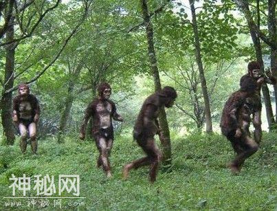 神农架目击野人事件：人形怪物披头散发飞快地从坡下向他奔过来-2.jpg