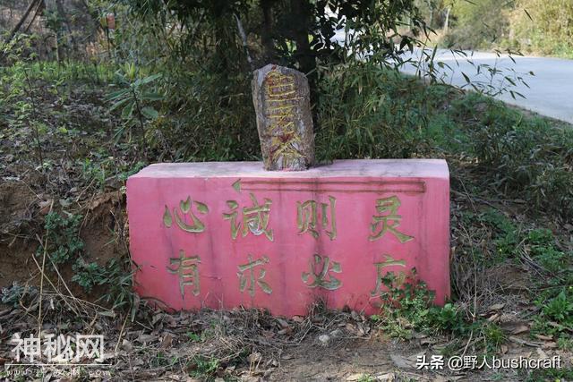清明将至，盘点我国7种动物供奉你听过几种？-1.jpg