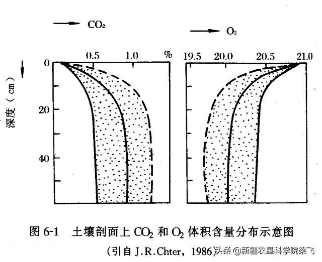敬土爱土！土壤三性（物理～化学～生物）同等重要-1.jpg