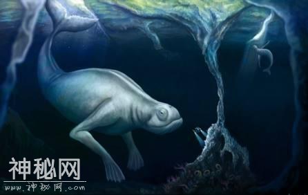 6类诡异的未知生物体，其中第4类已被公认真实存在-1.jpg