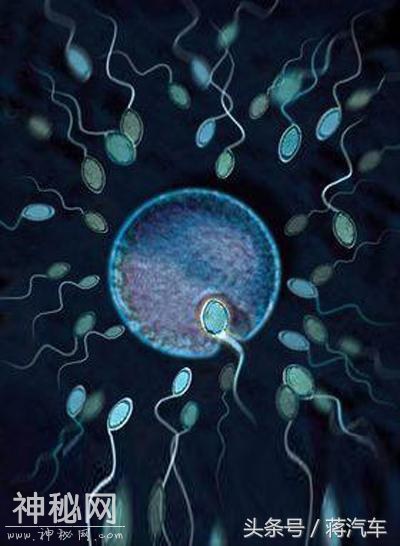 盘点18件超自然现象！科学至今无法解释！-6.jpg