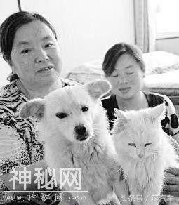 盘点18件超自然现象！科学至今无法解释！-10.jpg