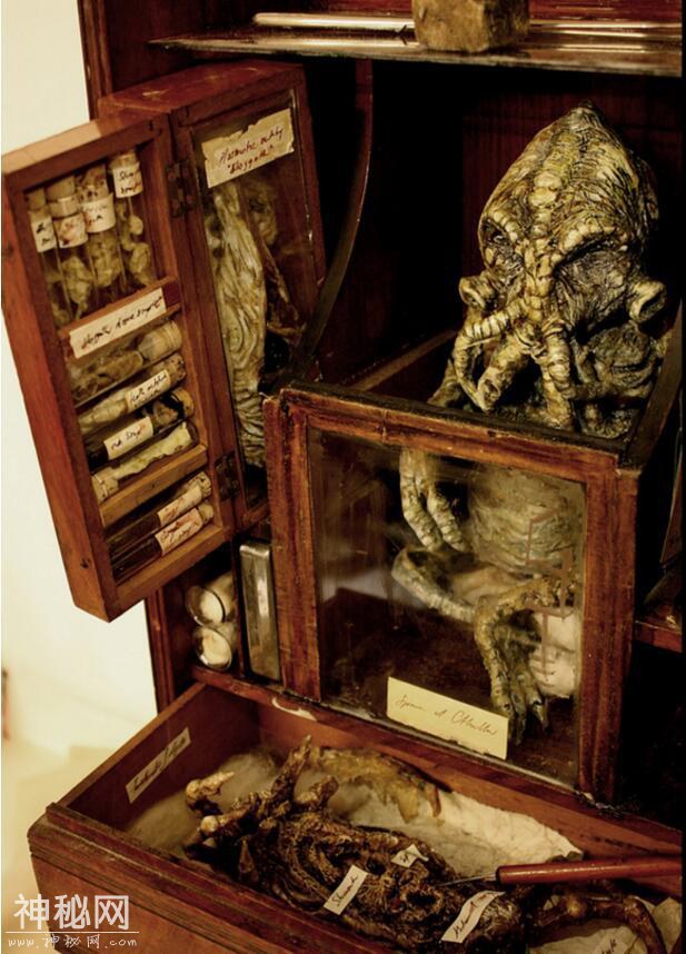 神奇动物在这里，你一定没见过的未知生物收藏展（三）-6.jpg