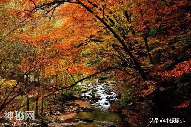 《野史》汉中这条河竟然是从下往上流！-2.jpg