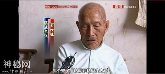 远征军老兵揭秘：野人山上的这两种东西，才是使人丧命的魔鬼-3.jpg