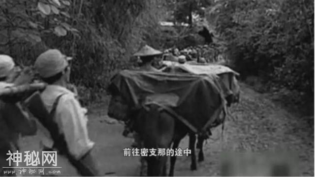 远征军老兵揭秘：野人山上的这两种东西，才是使人丧命的魔鬼-2.jpg