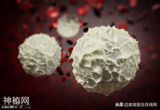 白血病是怎么回事？儿童患白血病的概率更高？医生告诉你答案-1.jpg