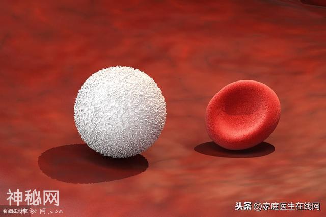 白血病是怎么回事？儿童患白血病的概率更高？医生告诉你答案-3.jpg