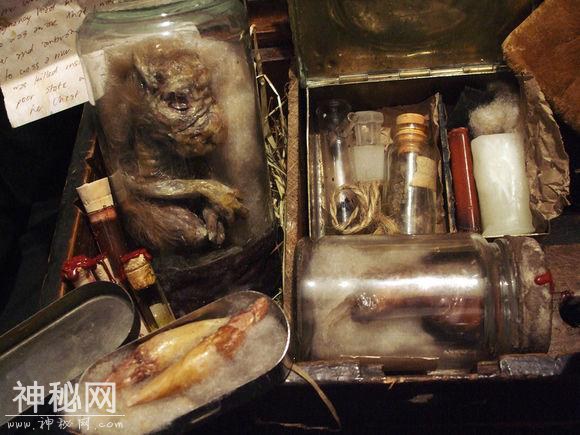 神奇动物在这里，你一定没见过的未知生物收藏展（四）-4.jpg