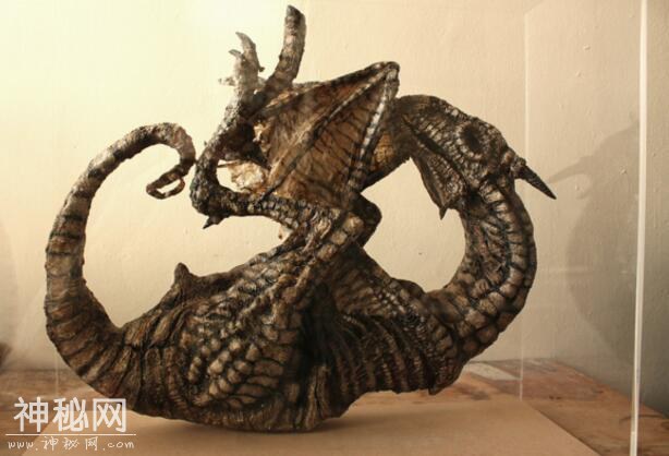 神奇动物在这里，你一定没见过的未知生物收藏展（四）-11.jpg
