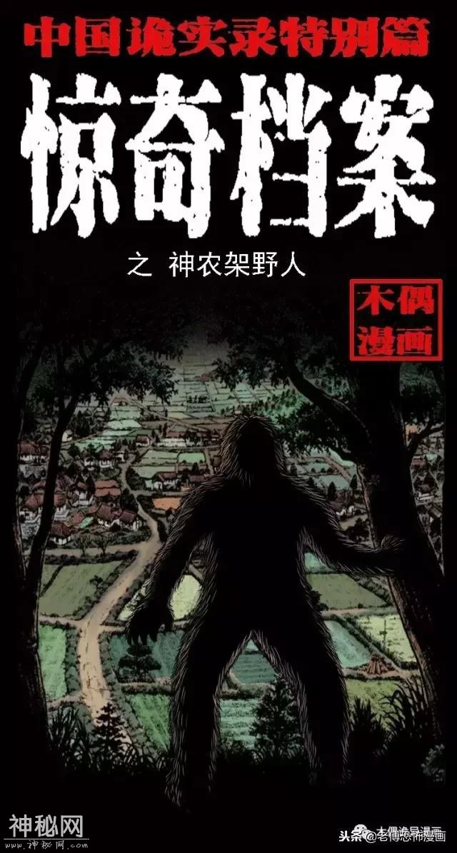 木偶漫画：民间真实故事，惊奇档案之神农架野人-1.jpg