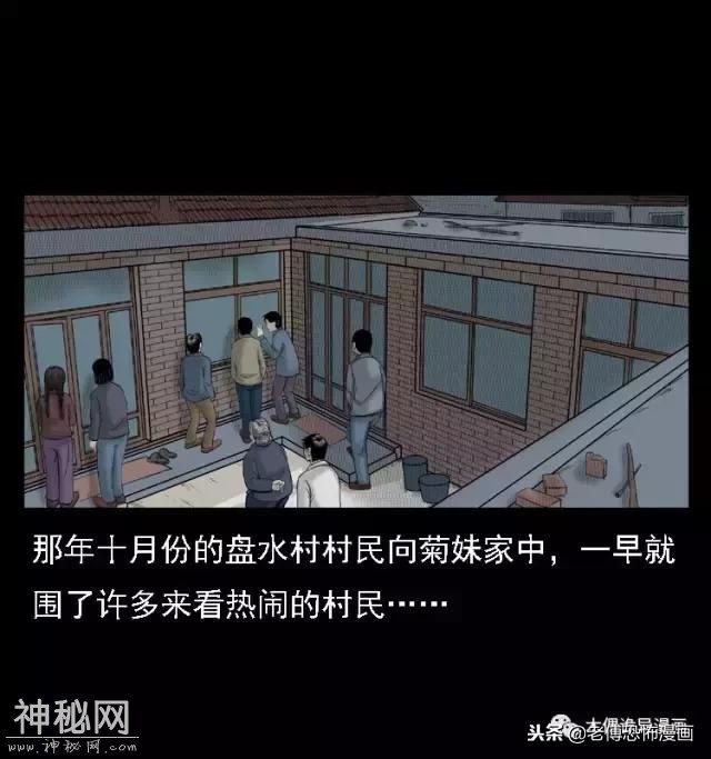 木偶漫画：民间真实故事，惊奇档案之神农架野人-4.jpg