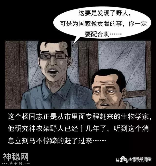 木偶漫画：民间真实故事，惊奇档案之神农架野人-8.jpg
