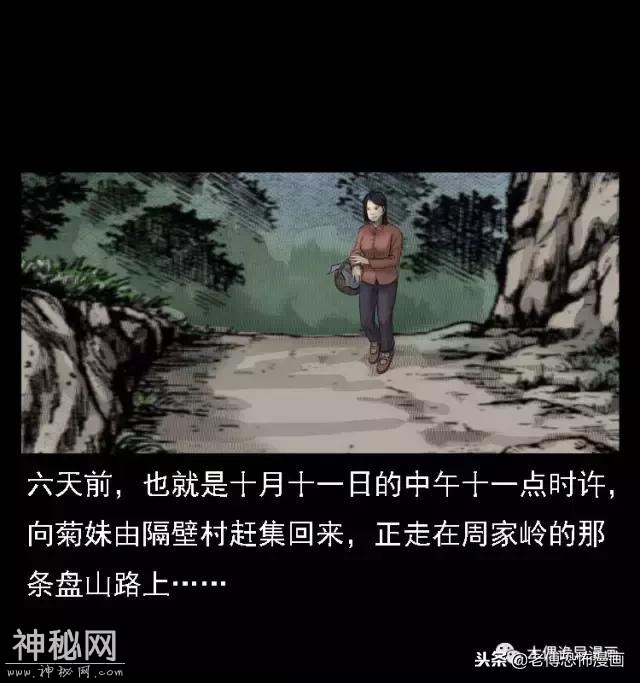 木偶漫画：民间真实故事，惊奇档案之神农架野人-10.jpg