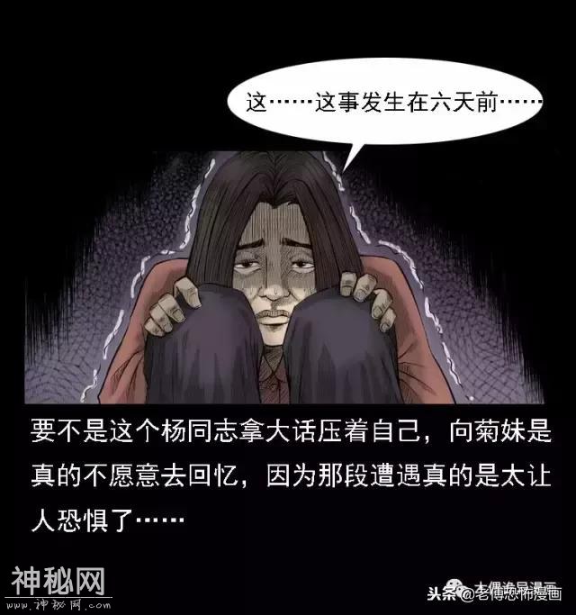 木偶漫画：民间真实故事，惊奇档案之神农架野人-9.jpg