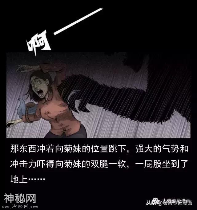 木偶漫画：民间真实故事，惊奇档案之神农架野人-17.jpg