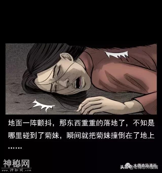 木偶漫画：民间真实故事，惊奇档案之神农架野人-18.jpg