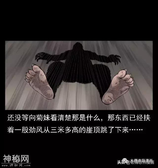 木偶漫画：民间真实故事，惊奇档案之神农架野人-16.jpg