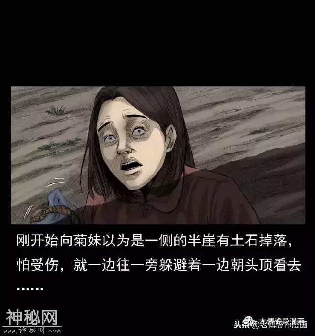 木偶漫画：民间真实故事，惊奇档案之神农架野人-13.jpg