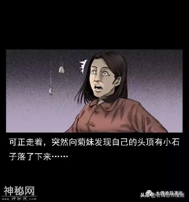 木偶漫画：民间真实故事，惊奇档案之神农架野人-12.jpg
