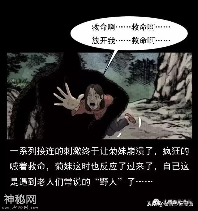 木偶漫画：民间真实故事，惊奇档案之神农架野人-21.jpg