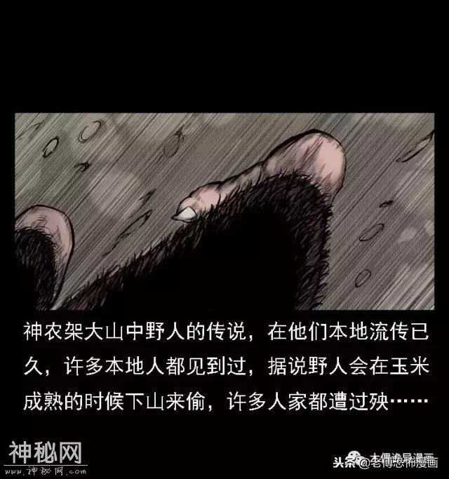 木偶漫画：民间真实故事，惊奇档案之神农架野人-22.jpg