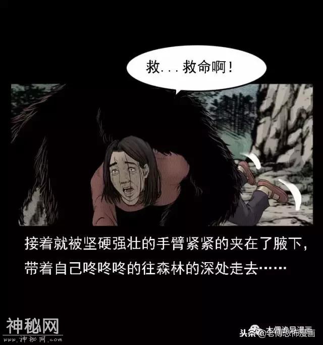 木偶漫画：民间真实故事，惊奇档案之神农架野人-20.jpg