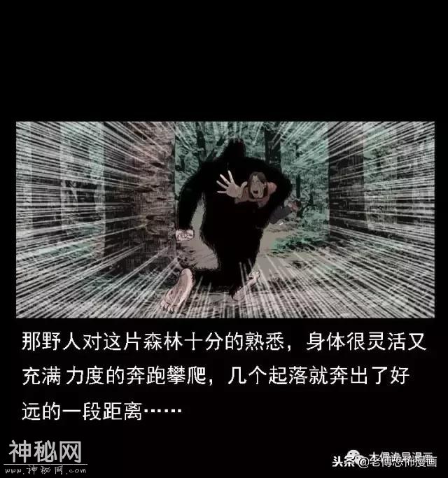 木偶漫画：民间真实故事，惊奇档案之神农架野人-27.jpg