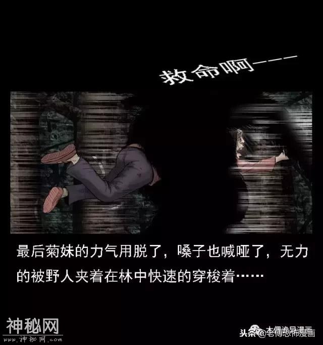 木偶漫画：民间真实故事，惊奇档案之神农架野人-26.jpg