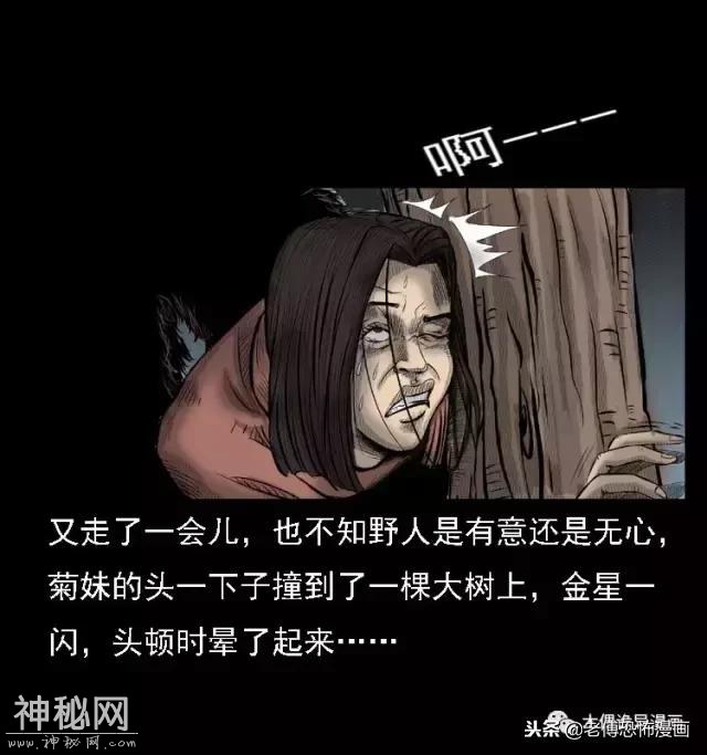 木偶漫画：民间真实故事，惊奇档案之神农架野人-30.jpg