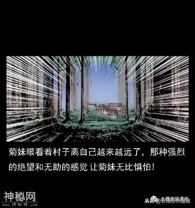 木偶漫画：民间真实故事，惊奇档案之神农架野人-28.jpg