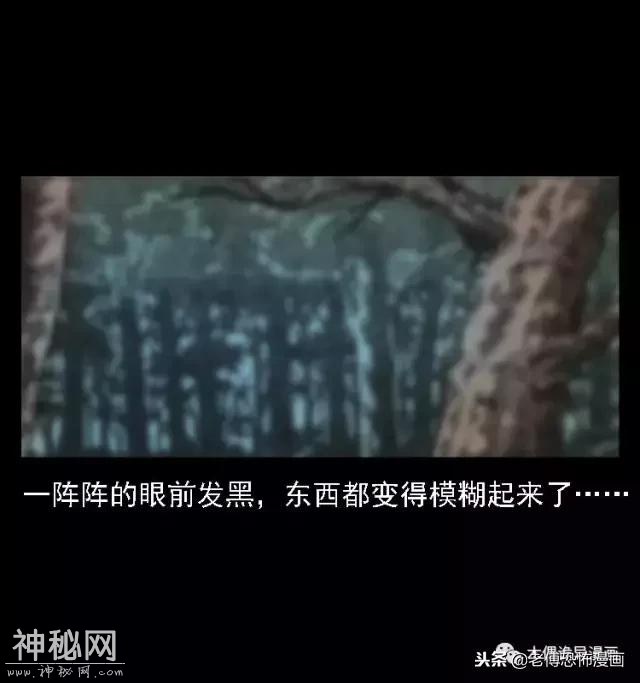 木偶漫画：民间真实故事，惊奇档案之神农架野人-31.jpg