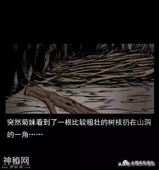 木偶漫画：民间真实故事，惊奇档案之神农架野人-44.jpg