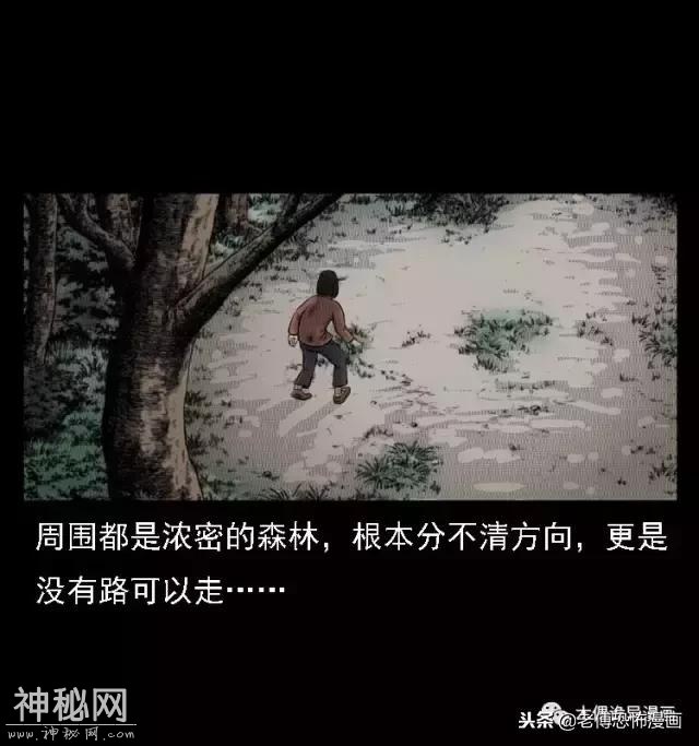 木偶漫画：民间真实故事，惊奇档案之神农架野人-52.jpg