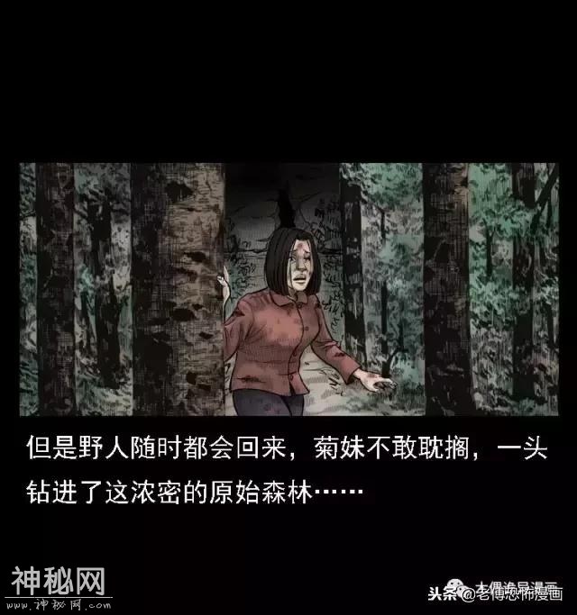 木偶漫画：民间真实故事，惊奇档案之神农架野人-53.jpg