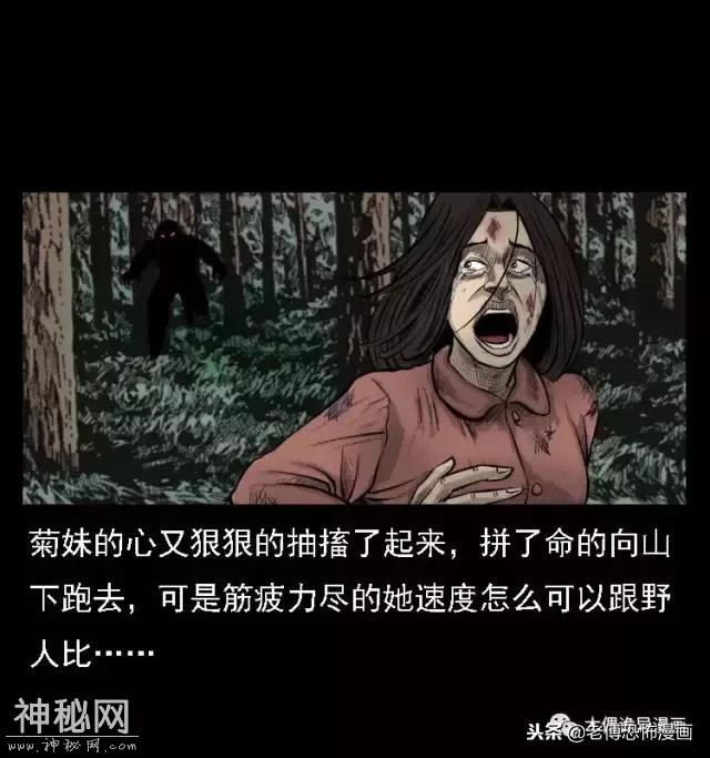 木偶漫画：民间真实故事，惊奇档案之神农架野人-60.jpg