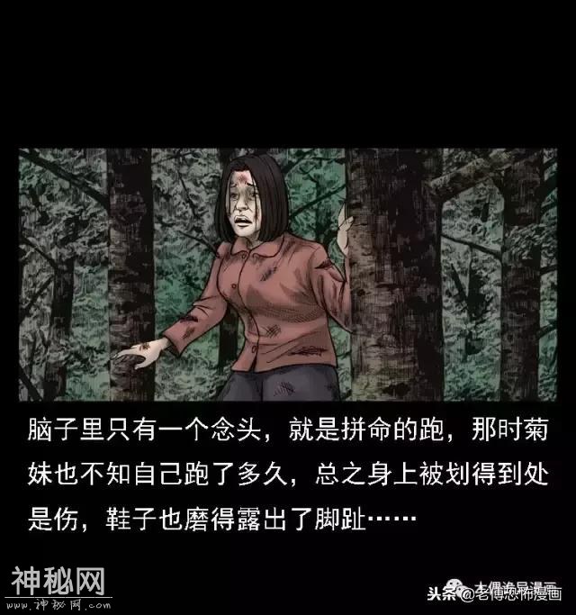 木偶漫画：民间真实故事，惊奇档案之神农架野人-55.jpg