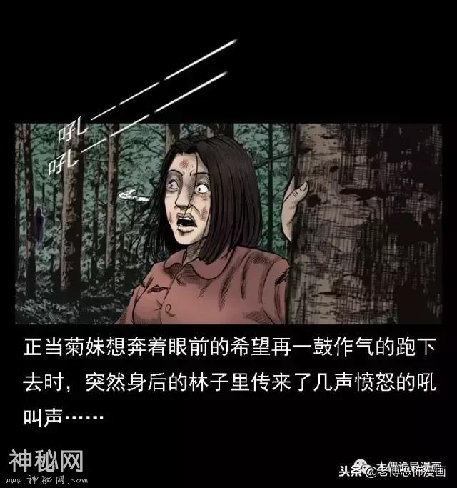 木偶漫画：民间真实故事，惊奇档案之神农架野人-57.jpg