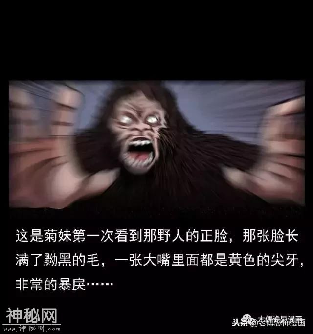 木偶漫画：民间真实故事，惊奇档案之神农架野人-59.jpg