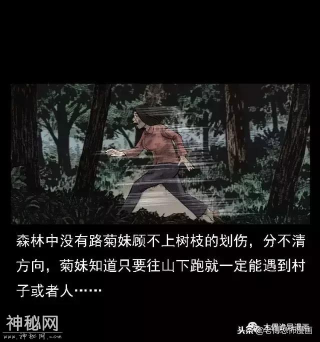 木偶漫画：民间真实故事，惊奇档案之神农架野人-54.jpg