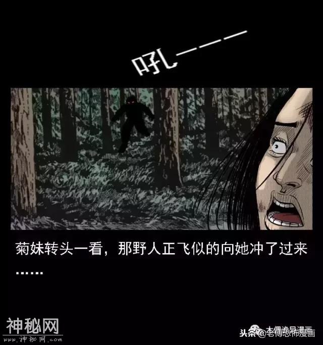 木偶漫画：民间真实故事，惊奇档案之神农架野人-58.jpg