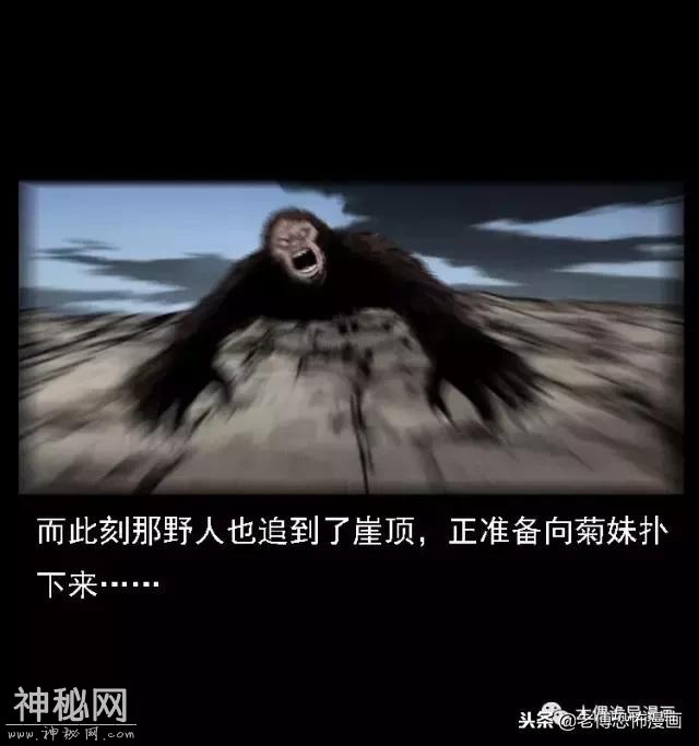木偶漫画：民间真实故事，惊奇档案之神农架野人-65.jpg